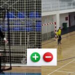 Plus i minus: Sokolačka hobotnica zvana Kosorić i uspavani Rogatičani